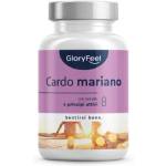GloryFeel-Cardo-Mariano-mini