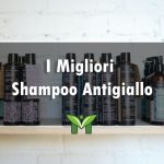 Il Miglior Shampoo Antigiallo - Recensioni, Classifica 2022